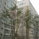 양주자이7단지 이미지