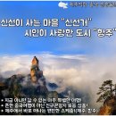 푸른항공여행사 이미지