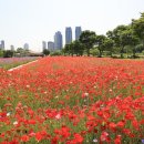 태화강국가정원 이미지