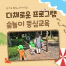 화성향남 17단지 부영사랑으로 어린이집 | 화성향남17단지 부영사랑으로 어린이집 숲놀이 중심교육과 다채로운 프로그램