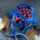 성길 | 가평 포시즌 글램핑 8인실 후기 + 고모리 691 카페에서 장범준 본 썰까지 푼다.. 🖤