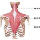 청초에스테틱 | 에스테틱공간2호점에서 수분보충 어깨뭉침 해결 (히알톡스 + 어깨썩션)