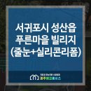 성산읍 푸른마을 이미지