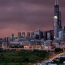 바른먹거리 이미지