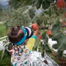 해피차일드어린이집 이미지