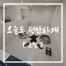 오늘도 힘차개 네이버블로그
