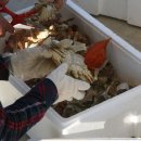 서망항1 이미지