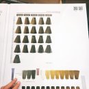 주랑헤어천연머리염색 - 도봉구 도당로29길 10 | 회룡역 미용실 네이처헤어 회룡점, 천연 비건 염색약으로 자극 없이 부드러운 톤다운 염색 후기