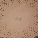 첨단하늘동물약국 이미지