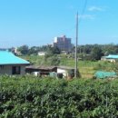 현덕초등학교 이미지