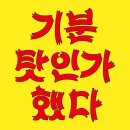 다미참치 이미지