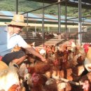 규정농장 이미지