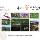 2019년 탁상용 달력 주문 받습니다. 이미지