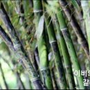 내하원 이미지