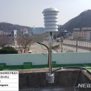 강구면사무소 뉴시스