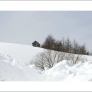 춘삼월목장 이미지