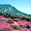 제주특별자치도 민속자연사박물관 이미지