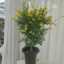 별빛농원 이미지