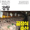 보다더동물농장 이미지