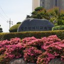 광주교육청 6월 수능모의평가 실채점 결과 분석 발표[미래교육신문] 이미지