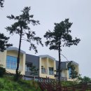 전복오감여행학교 이미지