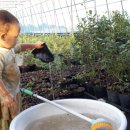 자매농장 이미지