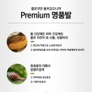 고운발