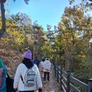 11월21일 금요일 밀양 여행 (금시당과 위양지)~ 우수수대장님 이미지