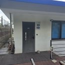 애견친구 | 여수 네모 애견동반 풀빌라 친구들과 1박후기 깔끔한 펜션 추천