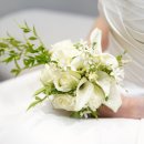 쭈굴맨의 결혼식 후기👰‍♀️