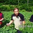 형제과일채소