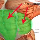 허리나 연구소 이미지