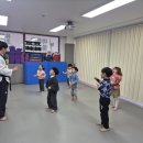 용인대 마루한 태권도 이미지