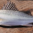 프리덤휘트니스 이미지