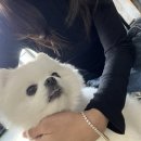 더왈츠앤조이피아 이미지