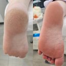 이천문제성발전문#라파엘 이미지