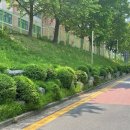 장곡동행정복지센터 이미지