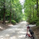 해송공원 이미지