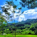 오토캠핑장 | 홍천 계곡 캠핑장 대룡산 오토캠핑장 후기