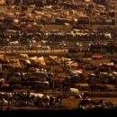 죽산축산 이미지