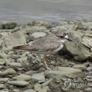 중선포천 이미지