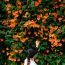 뚝섬한강공원-47 이미지