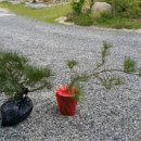 여송목재 이미지