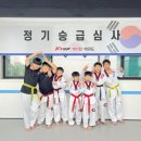 케이탑태권도 율량관 이미지