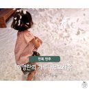 오와이농장 이미지