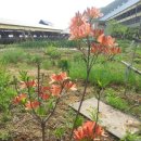 이종섭의 한우농장 이미지