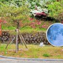 오전약수관광지 이미지