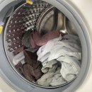 원타워 | 신혼가전 추천 비스포크 AI 원바디 워시타워 WF2520HC 한달 사용 후기