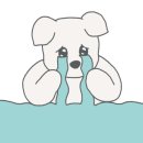 폴라리스다옴 이미지