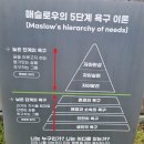 당신을 사랑합니다 | (평창)삶의 지혜로 피어난 정원 &#39;로미지안 가든&#39; 방문후기(25.9.27)